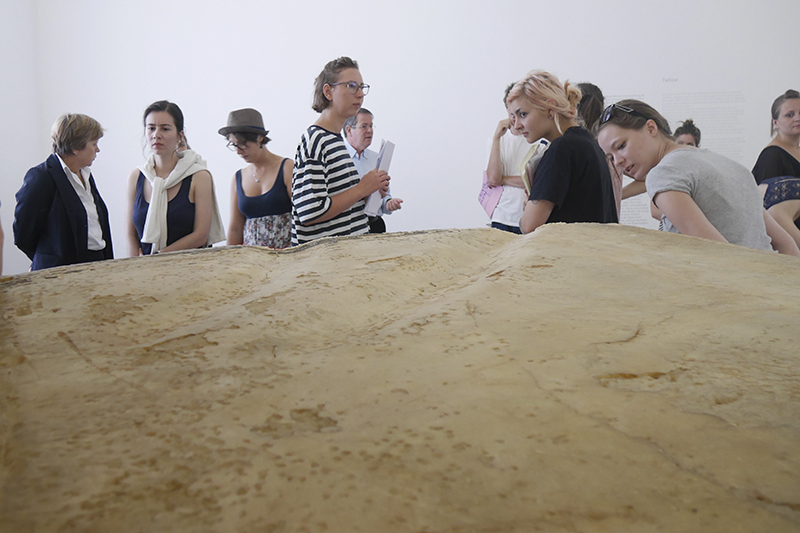 Beuys Installation - Hamburger Bahnhof