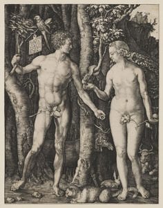 Albrecht Dürers Darstellung des Sündenfalls, Kupferstich von 1504