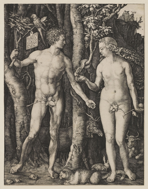 Albrecht Dürer, Der Sündenfall, 1504. Bildnachweis: Kunstsammlungen der Stadt Nürnberg.