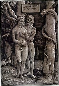 Hans Baldung Grien, Der Sündenfall, 1511